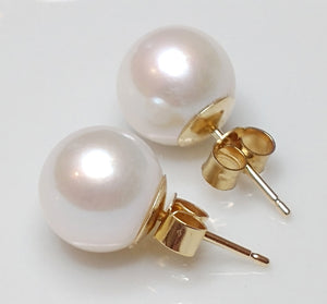 Round white freshwater pearl & 9ct gold earrings