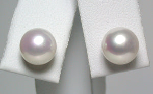 Round white freshwater pearl & 9ct gold earrings