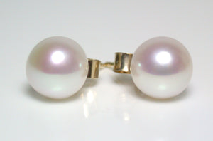 Round white freshwater pearl & 9ct gold earrings