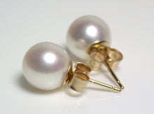 Load image into Gallery viewer, 8-8.5mm white Japanese Akoya pearl &amp; 9 carat gold earrings