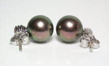 Load image into Gallery viewer, 9.5mm peacock Tahitian pearl, diamond &amp; 18ct white gold earrings