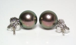 9.5mm peacock Tahitian pearl, diamond & 18ct white gold earrings