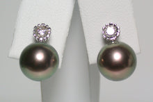 Load image into Gallery viewer, 9.5mm peacock Tahitian pearl, diamond &amp; 18ct white gold earrings